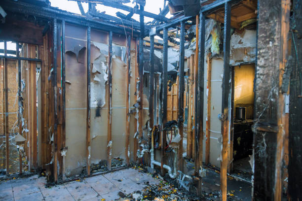 Professional Fire Damage Removal technician working in Swarthmore, PA